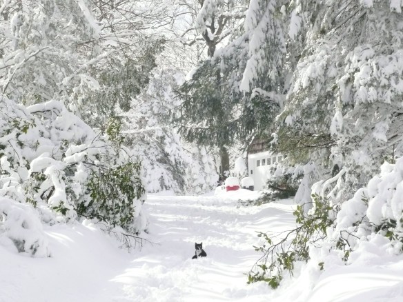 Snow plowing is an issue