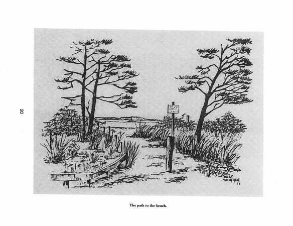 CraneNeckHistory_2016_Page_19