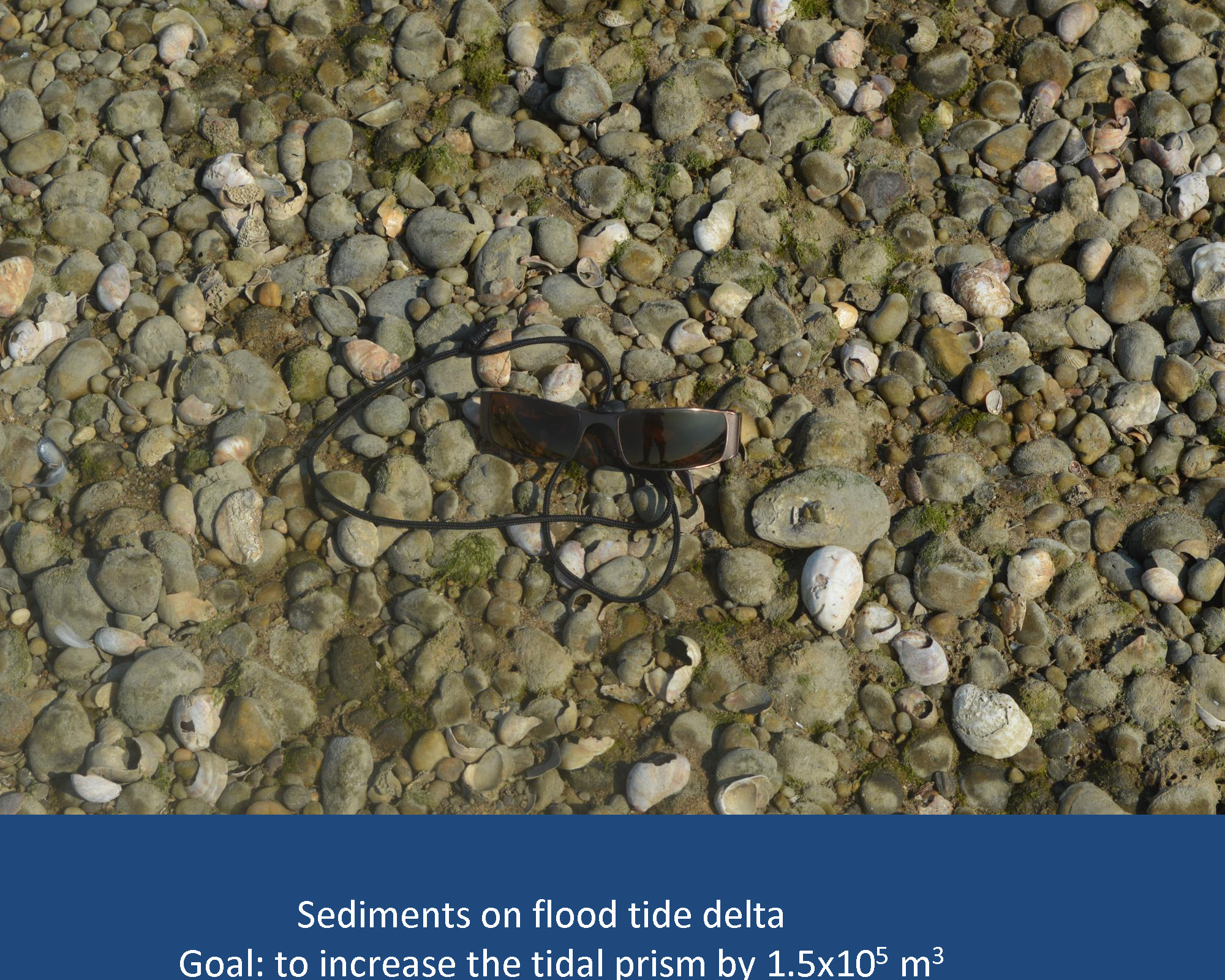 FlaxPondDredgingPresentation_Page_19