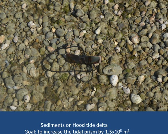 FlaxPondDredgingPresentation_Page_19