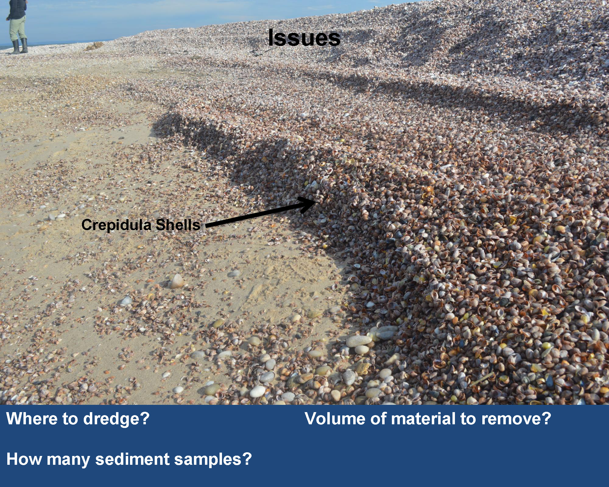 FlaxPondDredgingPresentation_Page_20